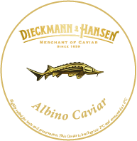 Albino Sterlet / nur wenige Einheiten