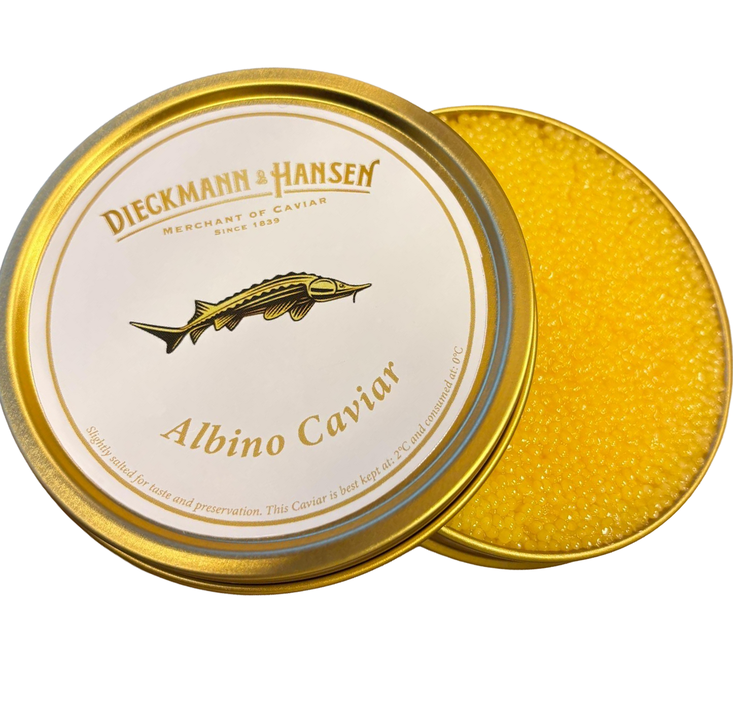 Albino Sterlet / nur wenige Einheiten